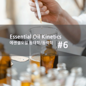 [EO Kinetics] EO동태학(Kinetics) 제06부 - First Pass Effect-1(Bioavailability)